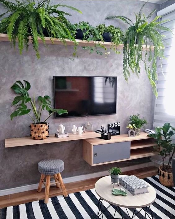 Sala de estar pequena com parede acinzentada e prateleiras com plantas.