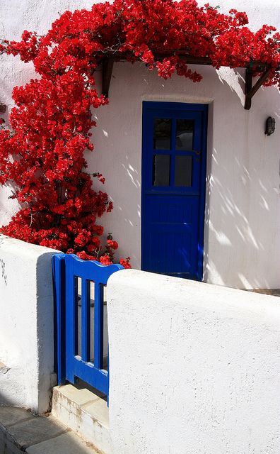 porta de madeira azul 