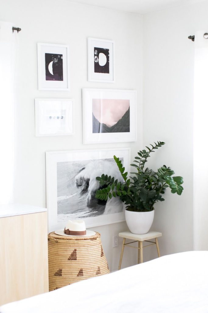 Sala minimalista decorada com zamioculcas.