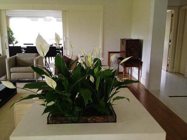Sala de estar neutra com mesa de centro branco e arranjo de flor.