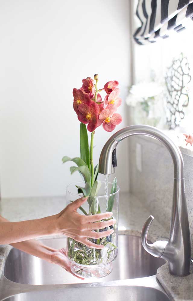 orquídea sendo regada na torneira