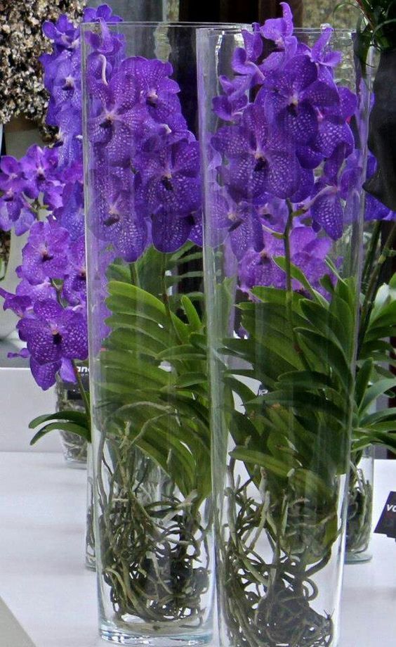 arranjo de mesa com plantas em vasos compridos de cristal