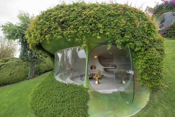 projeto futurista com grama amendoim
