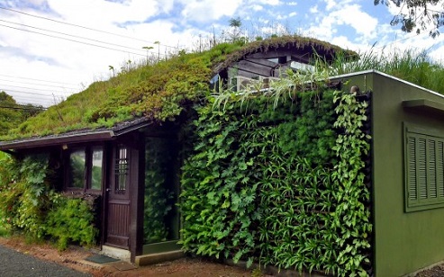 casa com telhado e parede verde