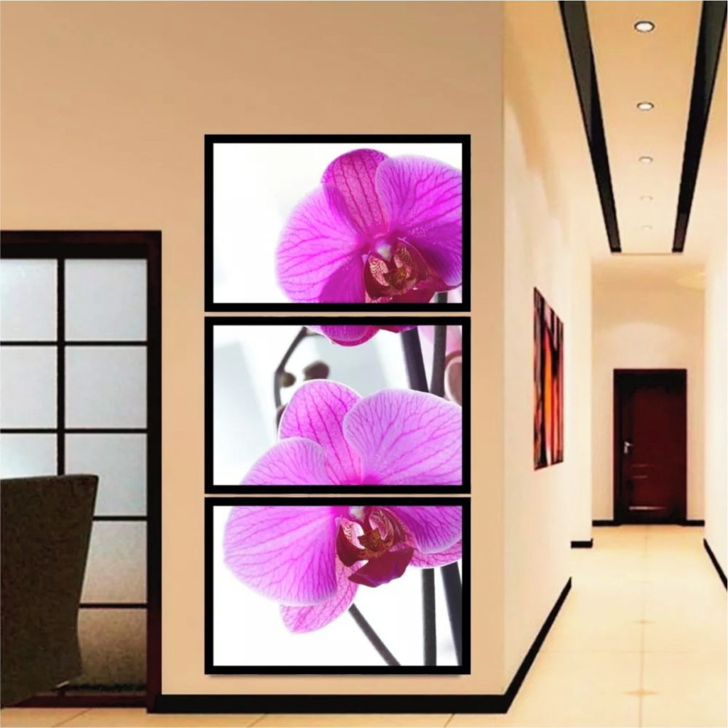 como cuidar de orquídeas quadro