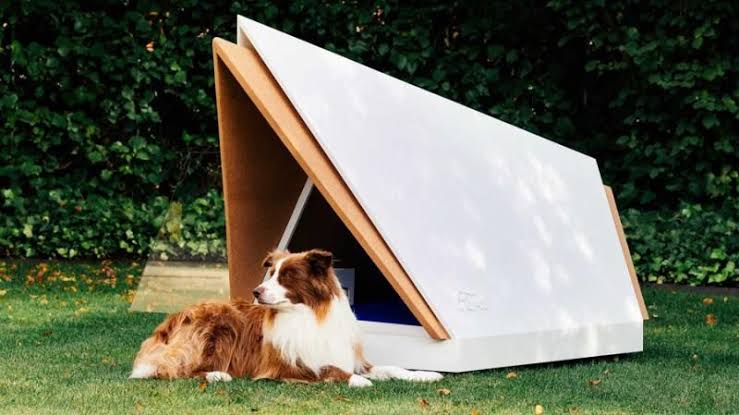 casa moderna para cachorro