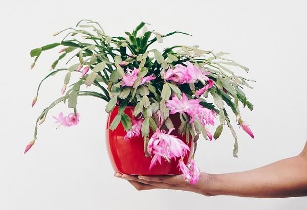 vaso decorativo com flor