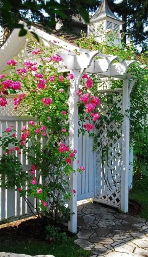 cerca e portão com rosas
